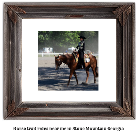 horse trail rides near me in Stone Mountain, Georgia